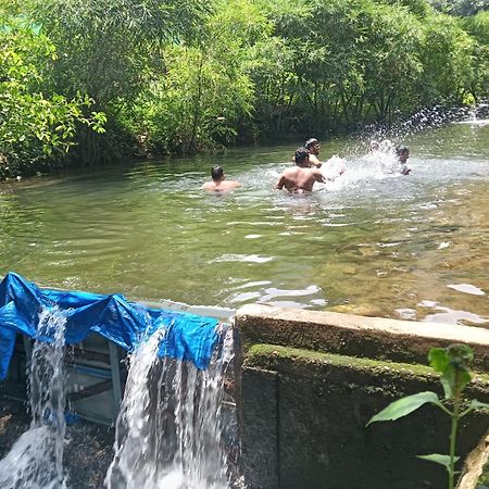 Tharayil Farm Stay Vagamon Exterior foto