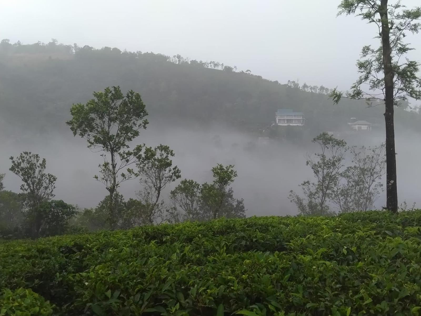 Tharayil Farm Stay Vagamon Exterior foto