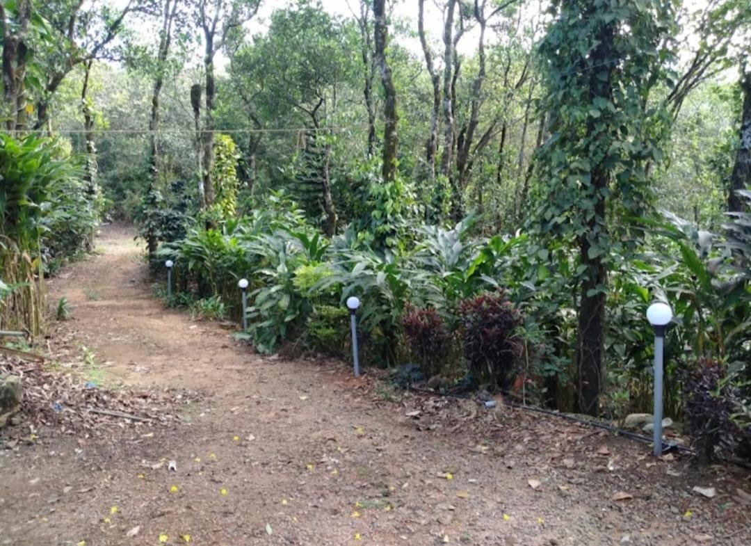 Tharayil Farm Stay Vagamon Exterior foto
